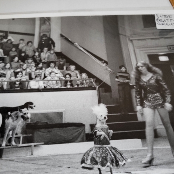 Vintage Black and White Photograph Clyde Beatty Circus 1973 Canine Circus Act - Picture 10 of 16